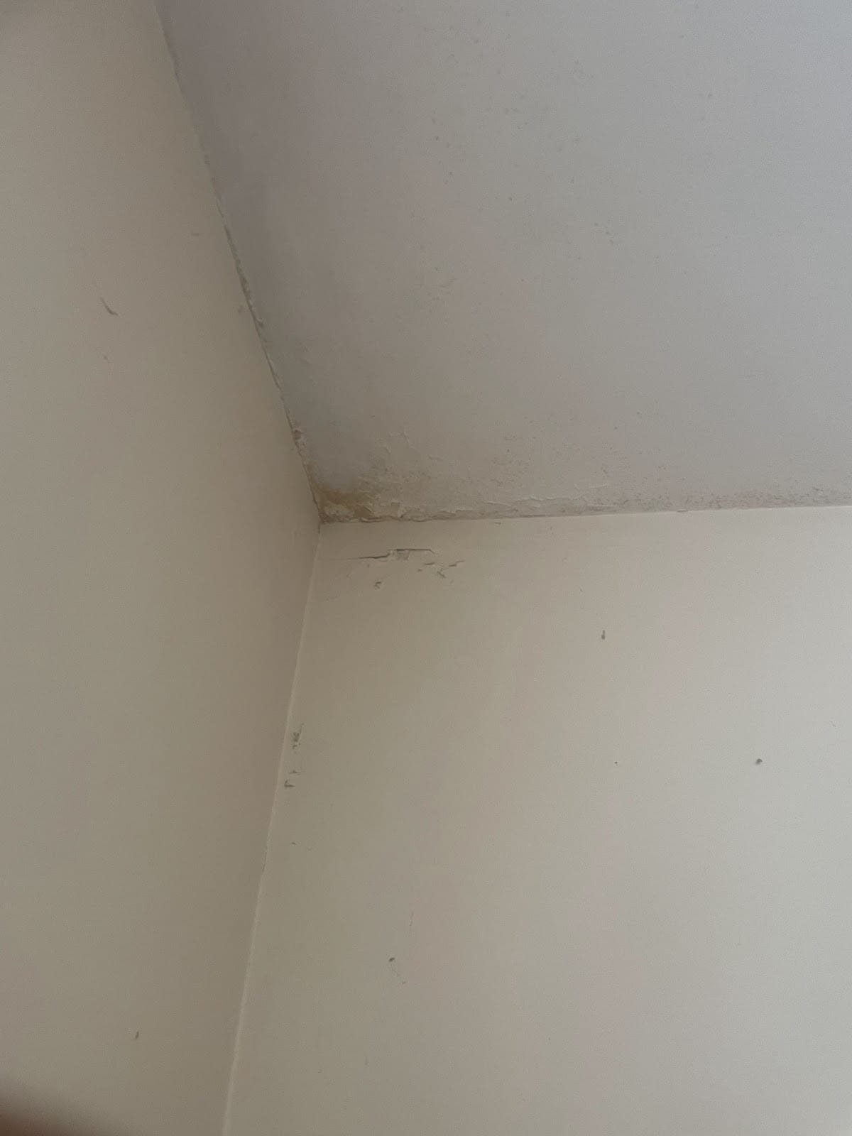 Water staining at the joint between a ceiling and wall